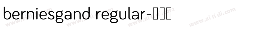 berniesgand regular字体转换